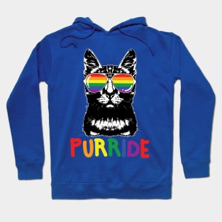 Purride LGBT Gay Pride Cat Lover Kitty Hoodie